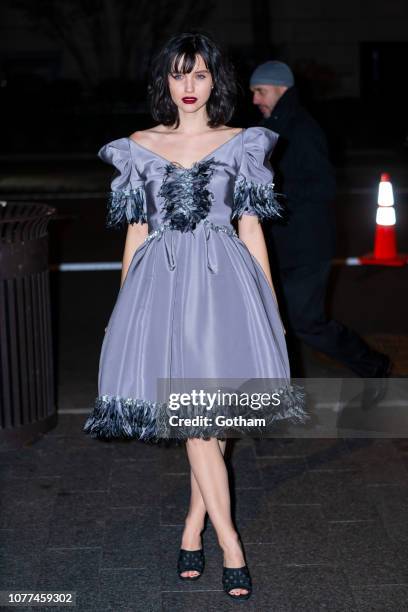 Julia Goldani Telles attends the Chanel Pre-Fall 2019 Collection runway show at the Metropolitan Museum of Art in the Upper East Side on December 04,...