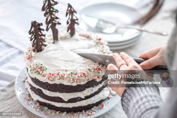 クリスマス ツリーで飾られたチョコレート ケーキ ビーガンを切��る女性 - ケーキ　カット ストックフォトと画像