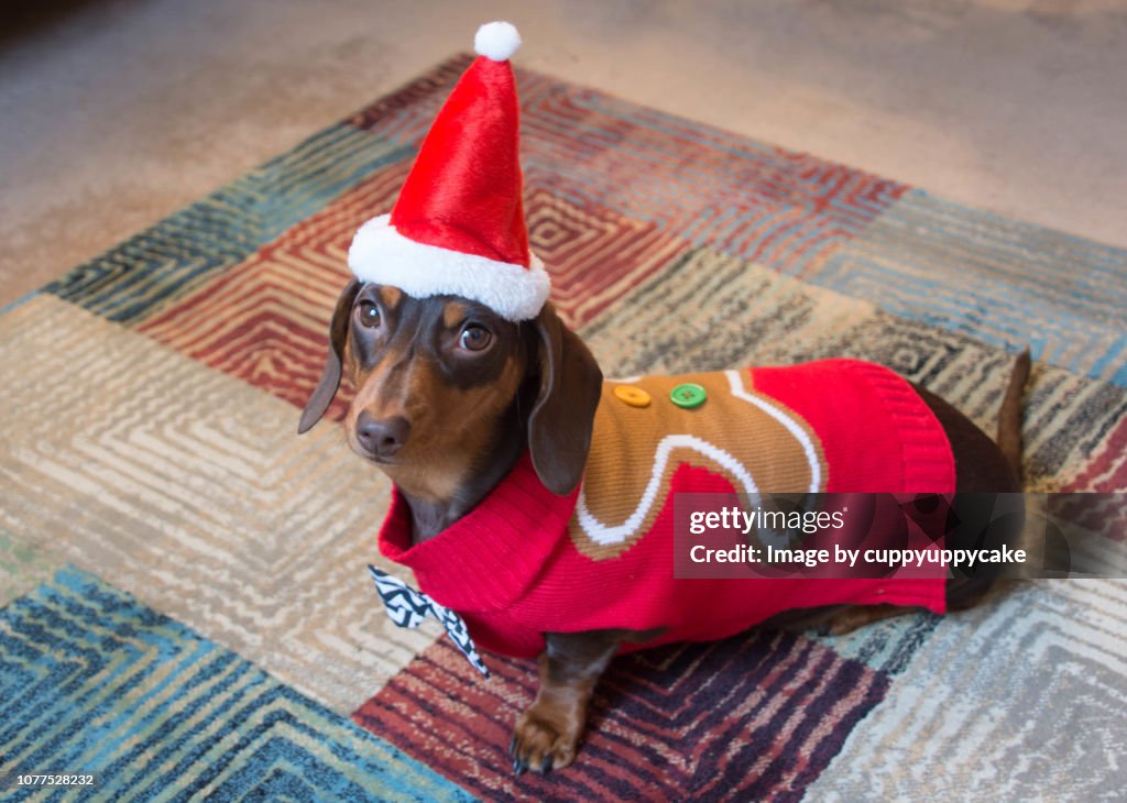Gingerbread man sweater