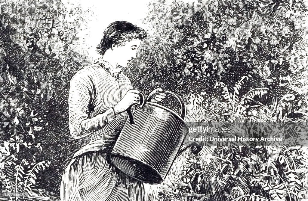 A young lady watering plants.