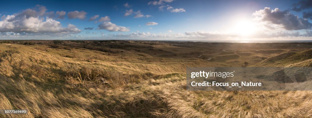 Panoramic dunes during sunset