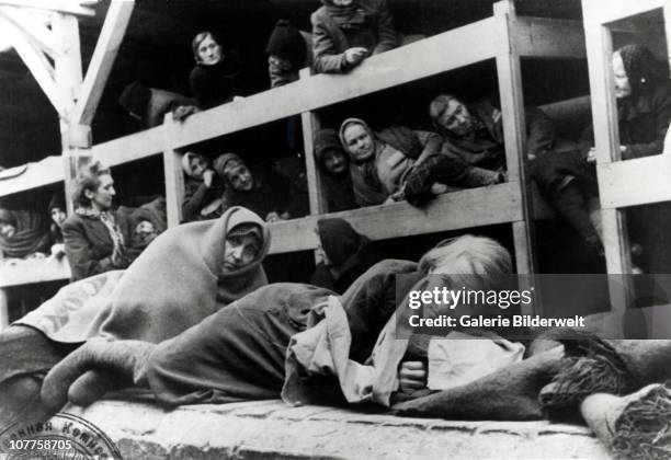 7 663 Auschwitz Birkenau Photos Et Images Haute R solution Getty Images 7-663-auschwitz-birkenau-photos-et-images-haute-r-solution-getty-images