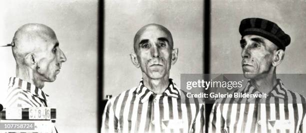 The prisoner identification photos of prisoner number 57846 an inmate brought to the German Nazi concentration camp at Auschwitz-Birkenau, Poland,...