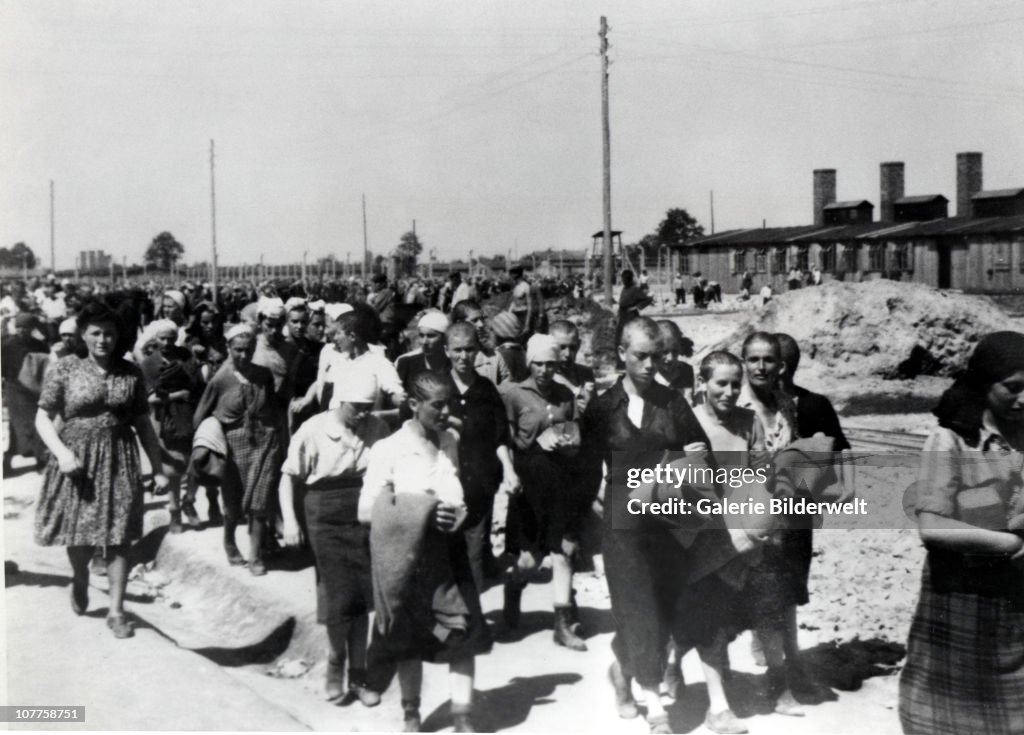 Concentration Camp Auschwitz