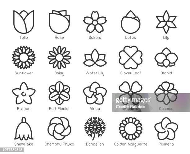 stockillustraties, clipart, cartoons en iconen met bloem - lijn pictogrammen - frangipani