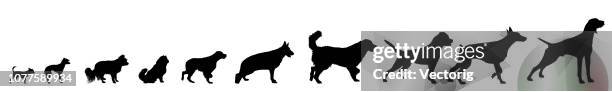 stockillustraties, clipart, cartoons en iconen met hond silhouet rassen set - golden retriever