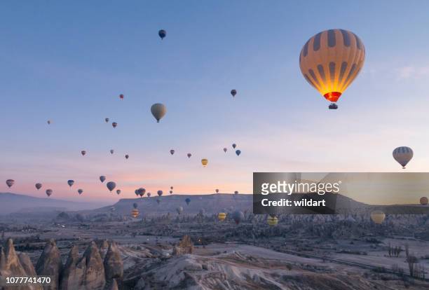 hot air balloons flying in red and rose valley in goreme in cappadocia in turkey - cappadocia hot air balloon stock pictures, royalty-free photos & images