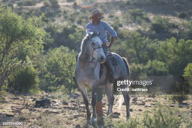 allevatore maschio africano a cavallo - horse and male and riding foto e immagini stock