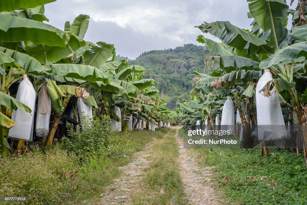 Daily Life In Laos