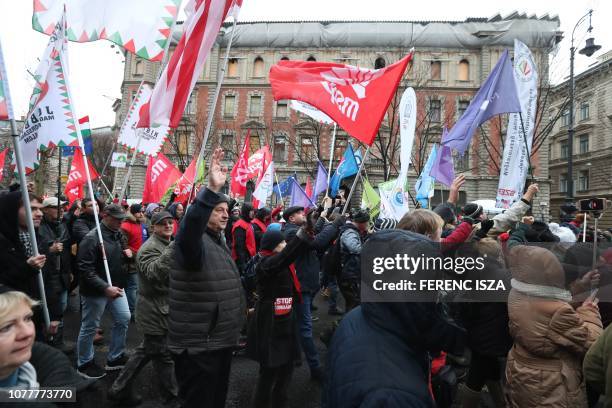 People wave flags during a demonstration against the government's new labour reform, dubbed the "slave law" by the opposition on January 5, 2019 in...