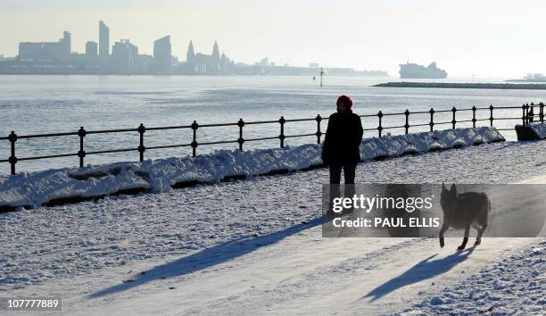 Woman walks her dog along a snow covered promenade at Wallasey in front of the Liverpool skyline, northwestern England, on December 19, 2010. London...