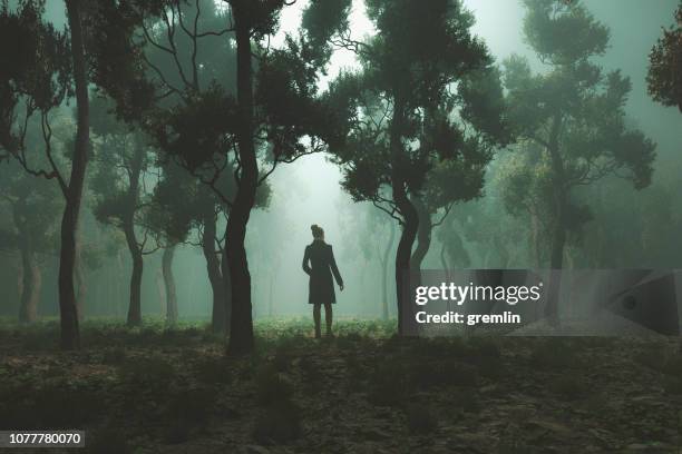 woman lost in fantasy forest at night - woman in dark forest stock pictures, royalty-free photos & images