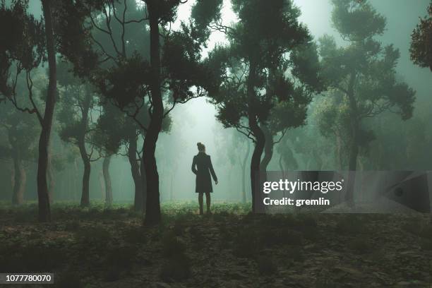 woman lost in fantasy forest at night - landscape in silhouette stock pictures, royalty-free photos & images