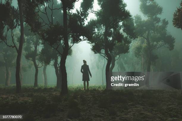 晚上在幻想森林中迷失的女人 - 迷路 個照片及圖片檔