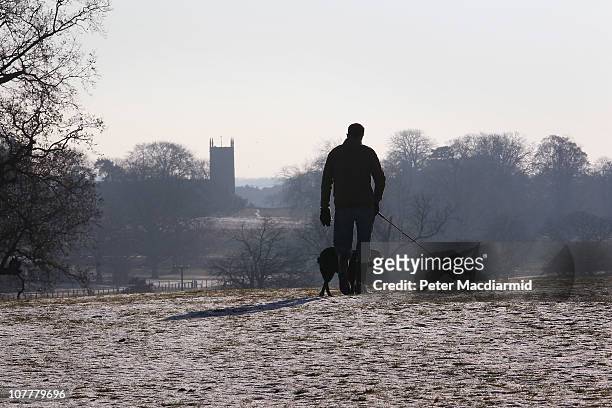 Man walks with his dogs on the Sandringham Estate as the Royal Family attends the Christmas Day Church Service at St Mary's Church on December 25,...