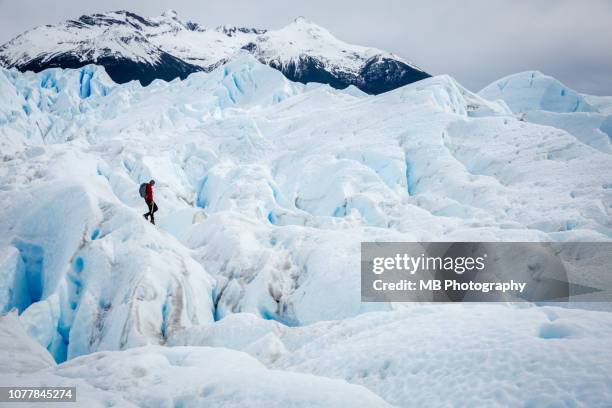 man hiking on glacier - lake argentina stock pictures, royalty-free photos & images