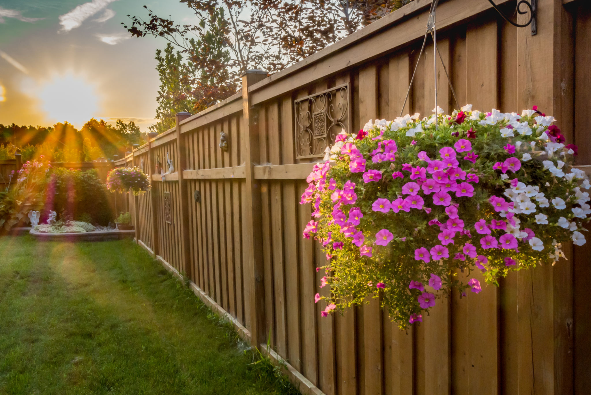 garden fence