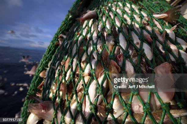 Crew members of the Radiant Star fishing in the North Sea on December 5, 2018 in Shetland, Scotland. The UK fishing industry has been a vocal...