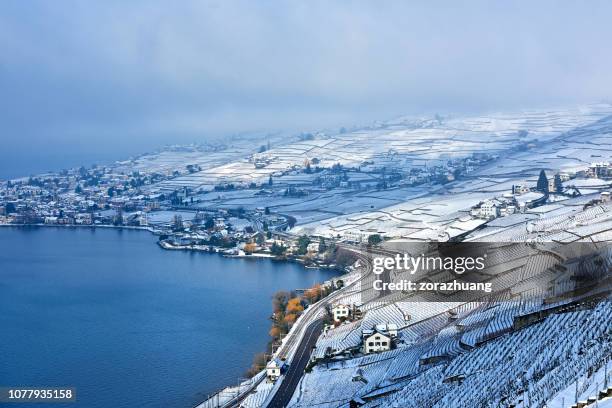 lavaux-weinberge im winter sunrise, schweiz - lausanne stock-fotos und bilder