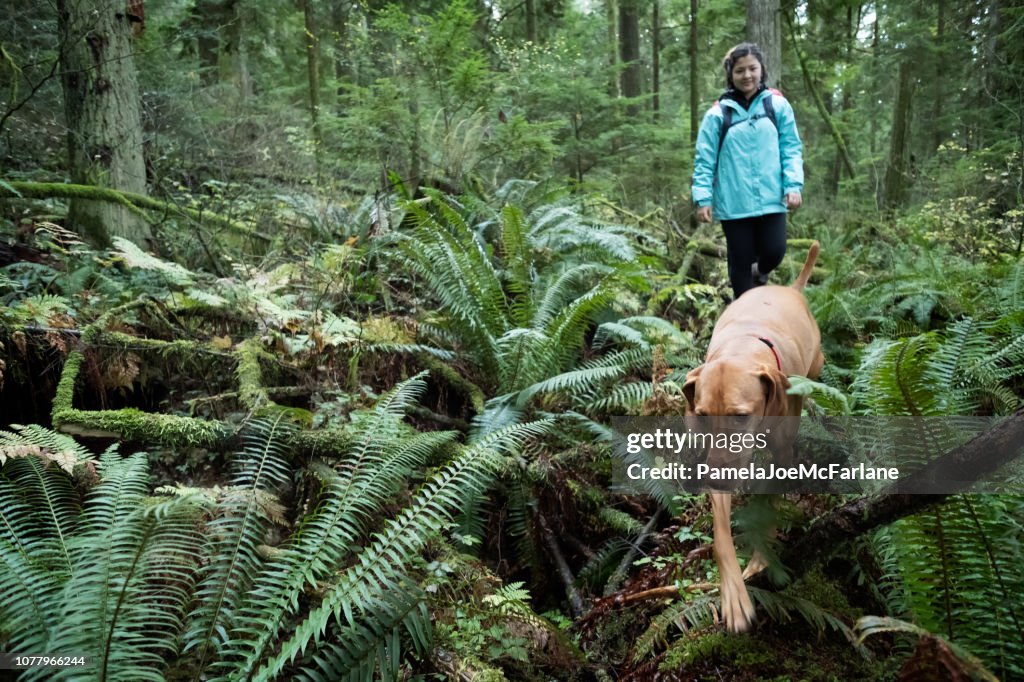 Teenaged Girl and Vizsla Dog Walking Along Log in Forest