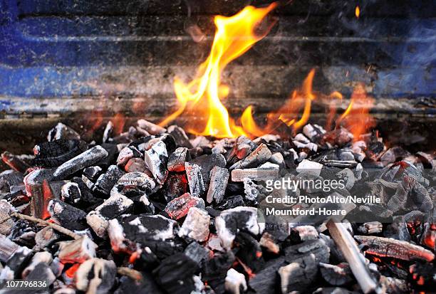 burning charcoal on barbecue grill - coal ash stock pictures, royalty-free photos & images