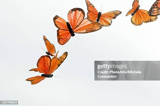 artificial butterflies flying - orange butterfly stock pictures, royalty-free photos & images