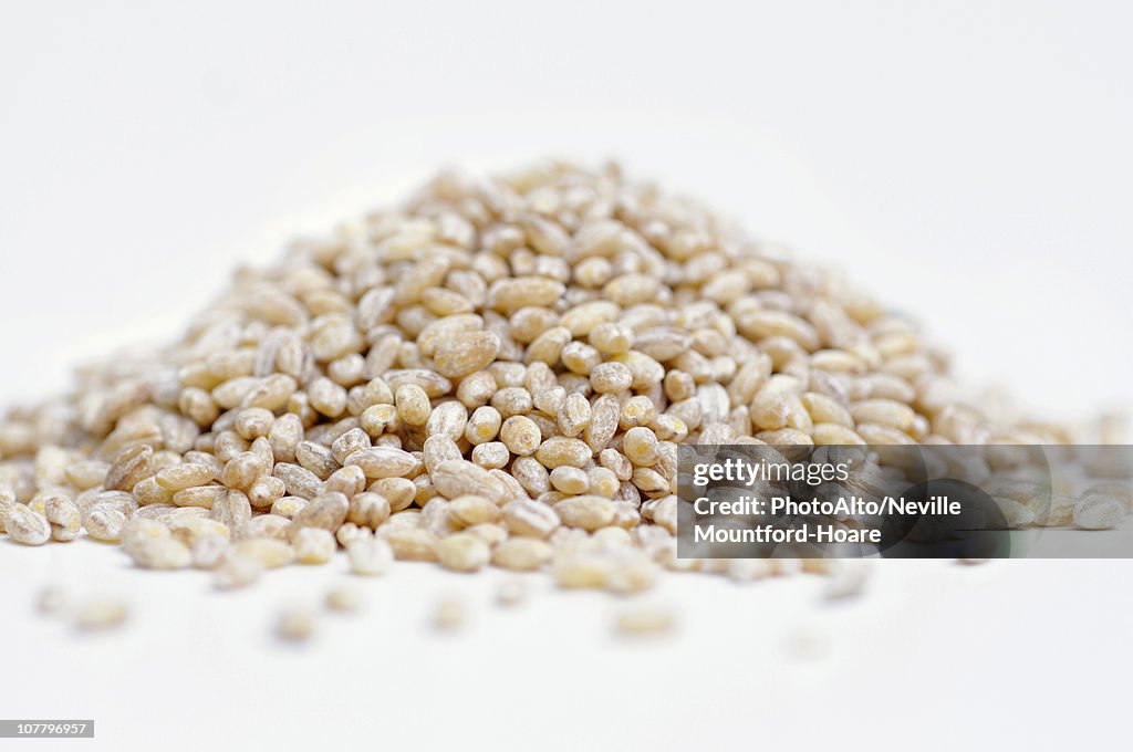 Pile of brown pearl barley on white background