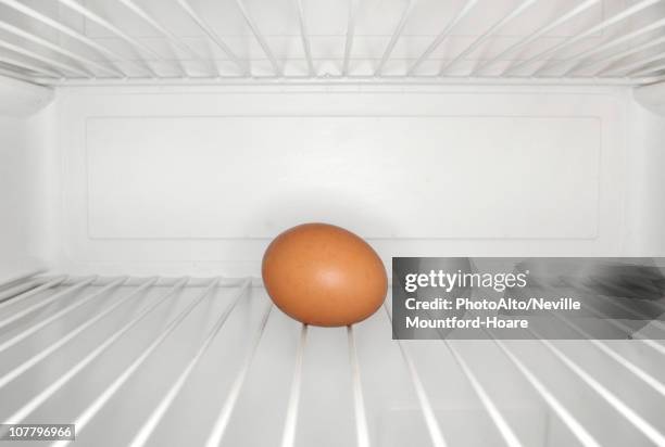 single egg sitting on shelf inside refrigerator - réfrigérateur vide photos et images de collection