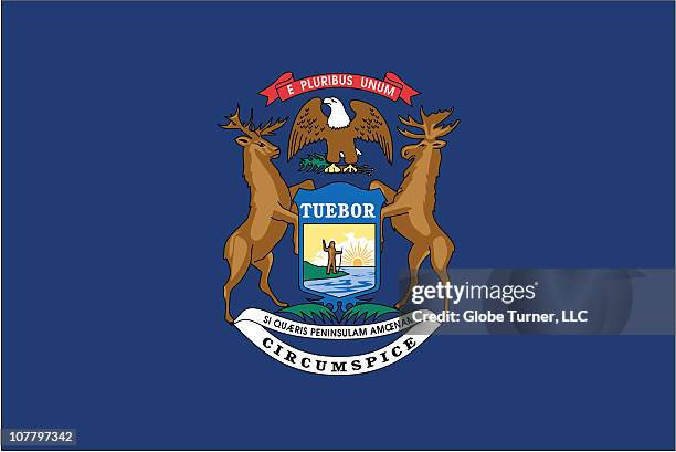 michigan flag - michigan state flag stock illustrations