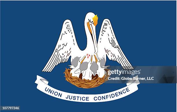 louisiana flag - louisiana state flag stock illustrations