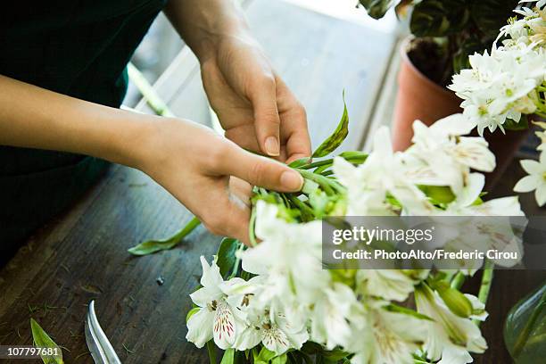 arranging fresh flowers - florist arranging stock pictures, royalty-free photos & images