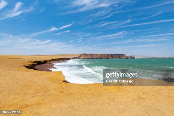 paracas national reserve - pisco peru stock pictures, royalty-free photos & images