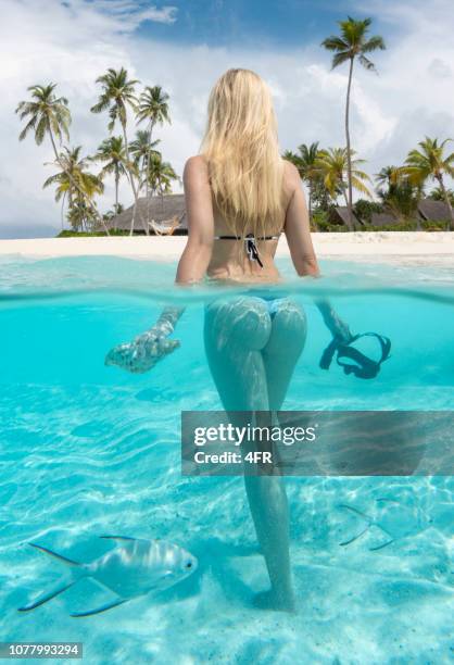 mujer sosteniendo concha y tubo, maldivas - remote location fotografías e imágenes de stock