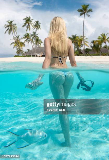 donna che tiene seashell e snorkeling, maldive - remote foto e immagini stock