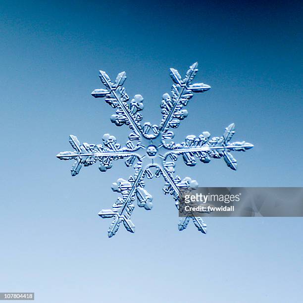snowflake - snowflake foto e immagini stock