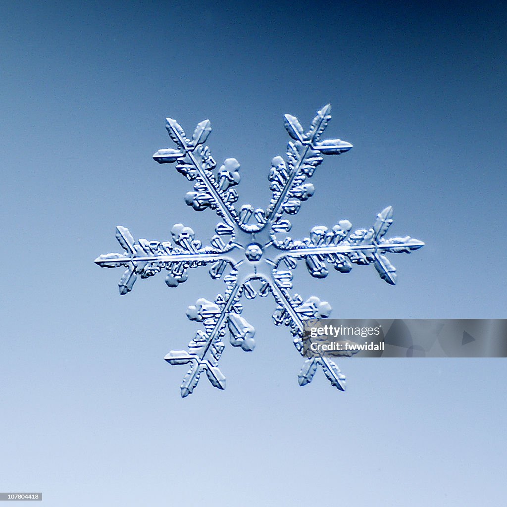 Snowflake