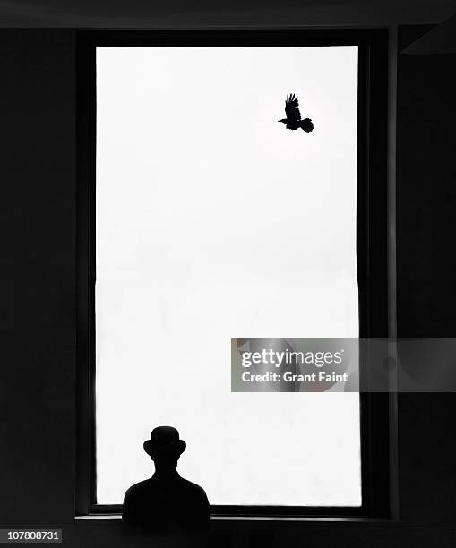 Man Stuck In Window 210 Man Trapped Behind Glass Stock Photos, High-Res Pictures, and ...