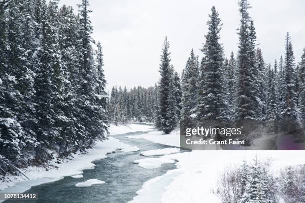 cold frozen river. - polar climate 個照片及圖片檔