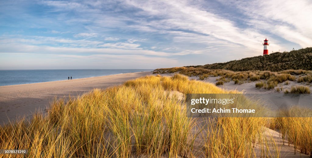 Coastal Landscape, Sylt Island, Germany, Europe