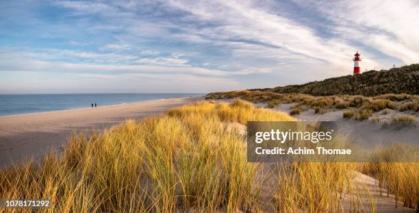 coastal landscape, sylt island, germany, europe - wattenmeer national park stock pictures, royalty-free photos & images