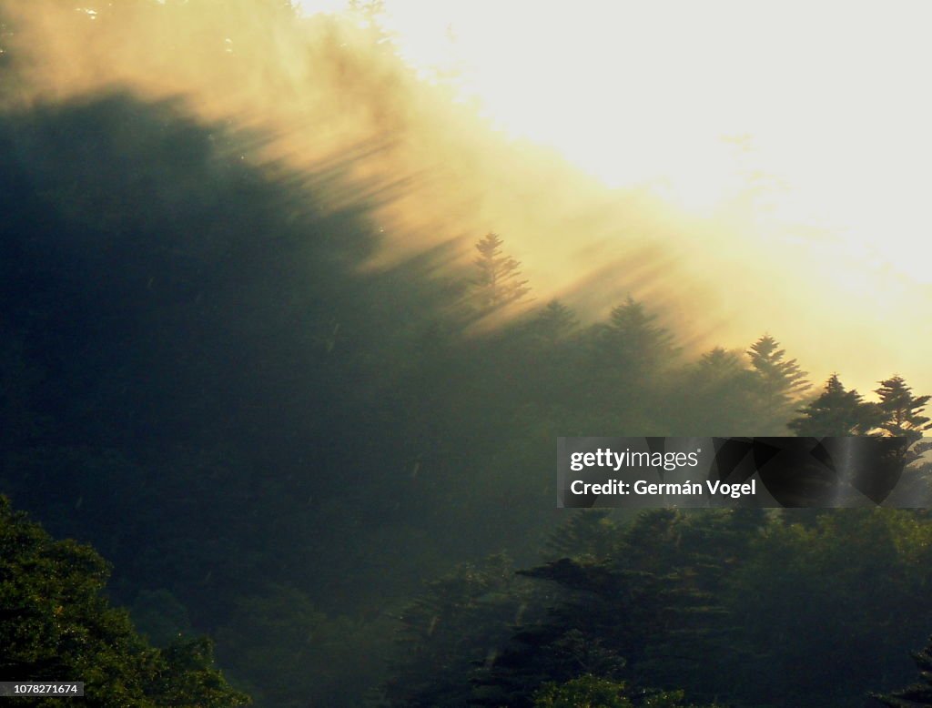 Beautiful light threshold natural phenomenon in the Chuuzenji lake forest, Japan