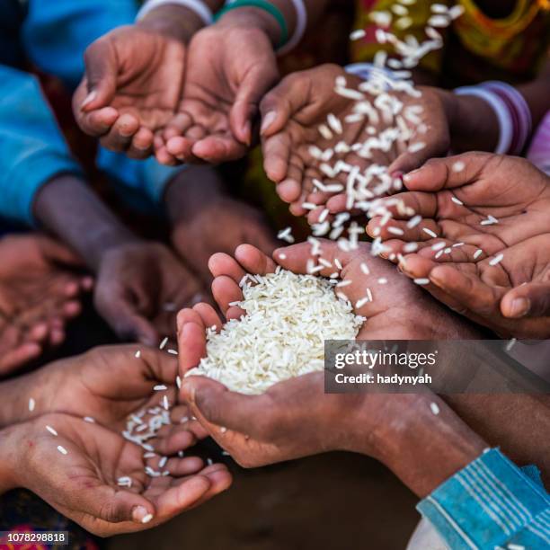 honger in afrika - handen gevraagd voor de menselijke voeding - hongersnood stockfoto's en -beelden