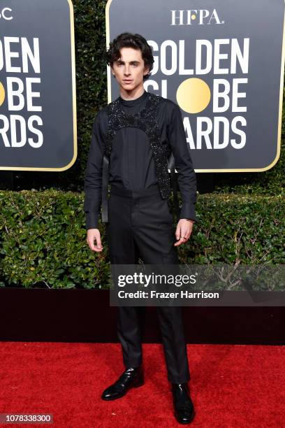 Timothee Chalamet attends the 76th Annual Golden Globe Awards at The Beverly Hilton Hotel on January 6, 2019 in Beverly Hills, California.
