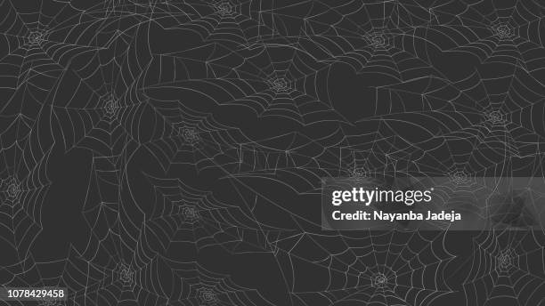 spider web background - spider web background stock illustrations