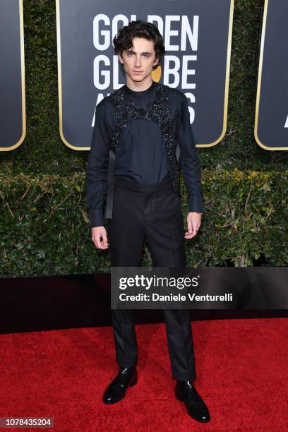 Timothée Chalamet attends the 76th Annual Golden Globe Awards at The Beverly Hilton Hotel on January 6, 2019 in Beverly Hills, California.