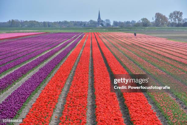 Kloosterburen Photos And Premium High Res Pictures Getty Images kloosterburen-photos-and-premium-high-res-pictures-getty-images