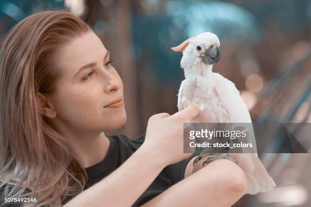 frau in der nähe von weißen tropischen papagei - cockatoo stock-fotos und bilder