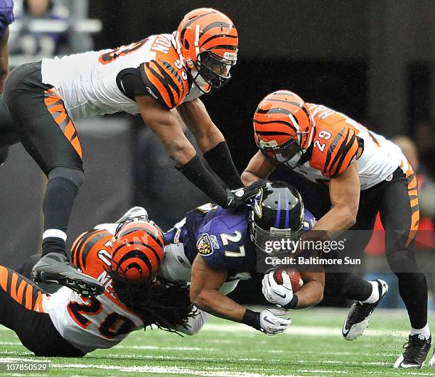 Ray Rice Biceps 61 Reggie Rice Photos & High Res Pictures - Getty Images