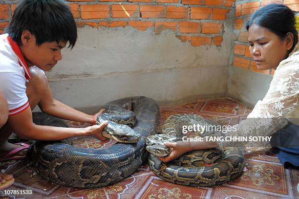 Cambodia Python 60 Cambodia Python Stock Photos, High-Res Pictures, and Images - Getty ...