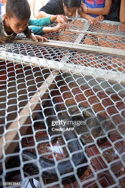 Cambodia Python 60 Cambodia Python Stock Photos, High-Res Pictures, and Images - Getty ...